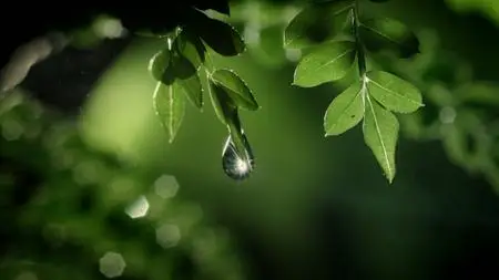 PBS - H2O: The Molecule That Made Us (2020)