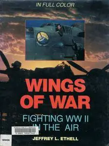 Wings of War: Fighting WWII in the Air (Repost)