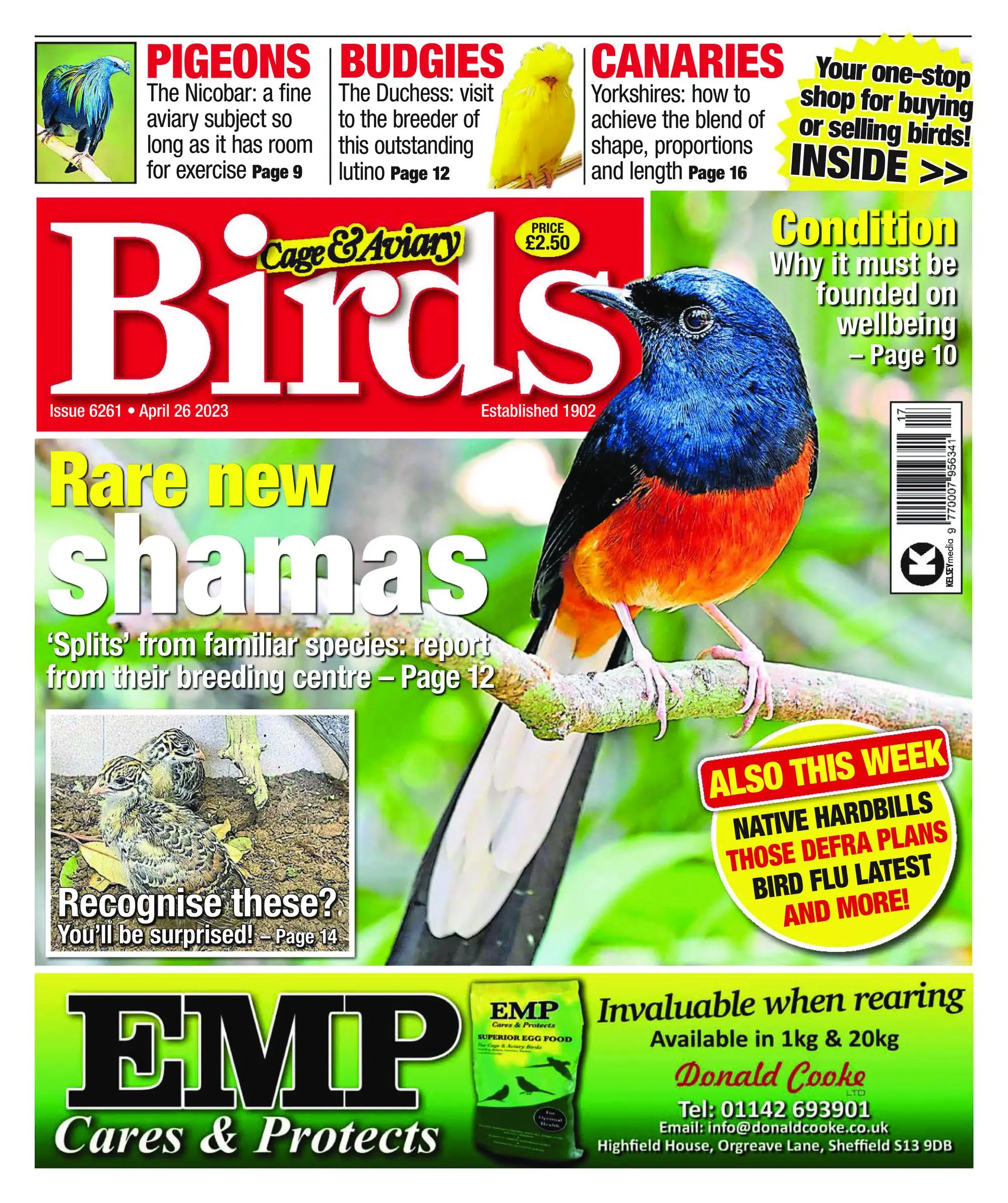 Cage & Aviary Birds – 26 April 2023