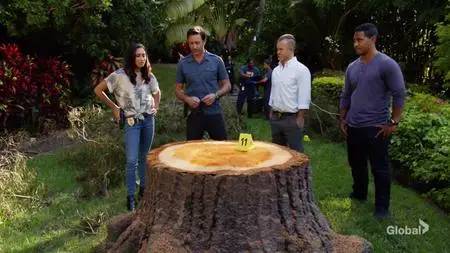 Hawaii Five-0 S10E09