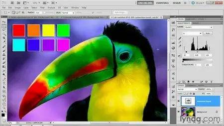 Photoshop Masking and Compositing: Fundamentals