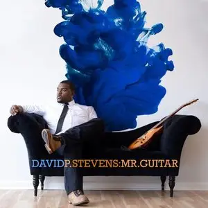 David P Stevens - Mr. Guitar (2014)