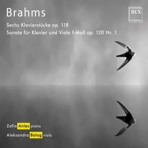 Zofia Antes & Aleksandra Batog - Brahms: Chamber Works (2019) [Official Digital Download 24/96]