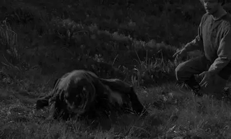 The Juniper Tree (1990)