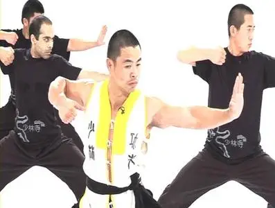 Shaolin Workout - Shaolin Warrior Vol:2 DVD-RIP