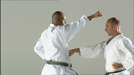 Grading Syllabus for Shotokan Karate 9th to 1st Kyu (2005)