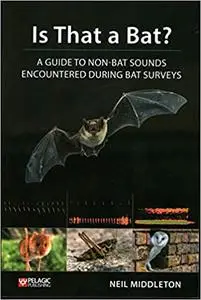 Is That a Bat?: A Guide to Non-Bat Sounds Encountered During Bat Surveys