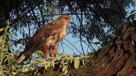 World's Nature: Europe's Most Beautiful Places (2012)