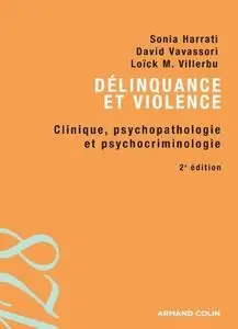 Sonia Harrati, David Vavassori, Loïck-M. Villerbu, "Délinquance et violence"