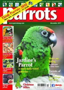 Parrots - December 2017