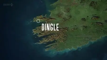 BBC Arena - Amy Winehouse: The Day She Came to Dingle (2012)