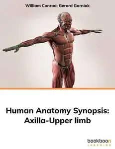 Human Anatomy Synopsis : Axilla-Upper limb