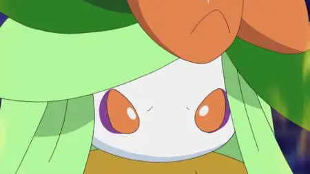 Pokémon S21E11