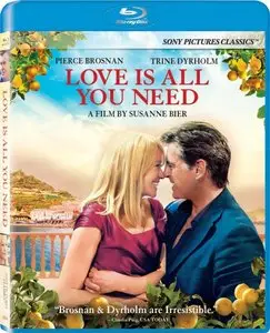 Love Is All You Need (2012)