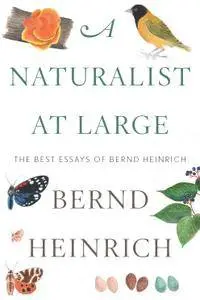 A Naturalist at Large: The Best Essays of Bernd Heinrich