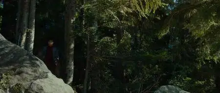 Okja (2017)