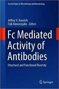 Fc Mediated Activity of Antibodies: Structural and Functional Diversity