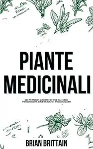 Piante Medicinali: Guida Per Principianti Alla Scoperta Del Potere Della Farmacia Ayurvedica