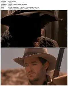 The Last Outlaw (1993)