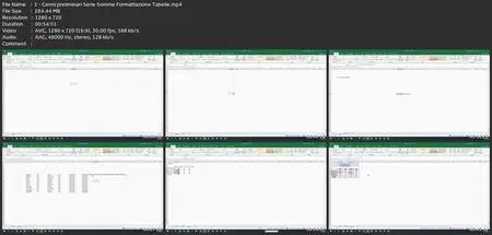 Impara Microsoft Excel: Dalle Fondamenta A Professionista!