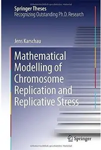 Mathematical Modelling of Chromosome Replication and Replicative Stress [Repost]