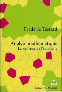 Frédéric Testard, "Analyse mathématique: La maîtrise de l'implicite"