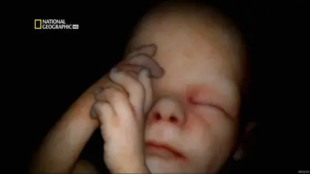 National Geographic - In The Womb: Fight For Life (2012)