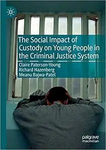 The Social Impact of Custody on Young People in the Criminal Justice System