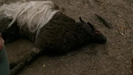 The Wilds S01E10