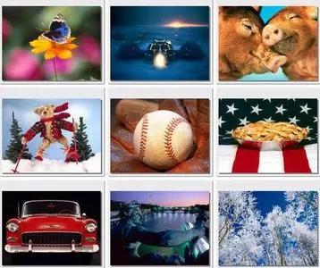 WebShots Collection. Part 1