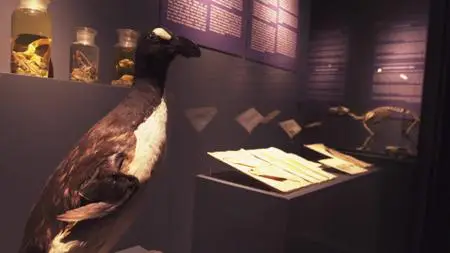 Extinct or Alive S01E08
