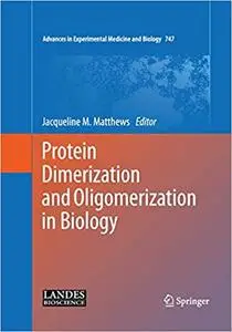 Protein Dimerization and Oligomerization in Biology