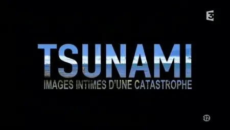 (Fr3) Tsunami, images intimes d'une catastrophe (2012)
