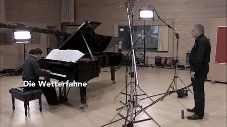 Franz Schubert - Winterreise (2013) [Full Blu-ray] 