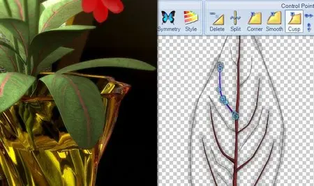 Spiral Graphics Genetica v3.51 Studio Edition