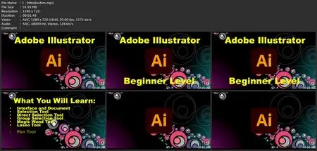 Adobe Illustrator Course For Beginner