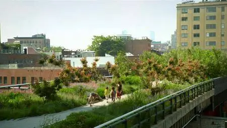 Great Museums - Elevated Thinking: The High Line in New York City (2016)