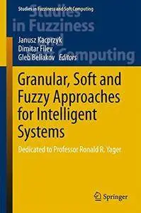 Granular, Soft and Fuzzy Approaches for Intelligent Systems (repost)