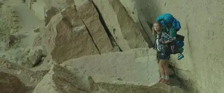 Wild / Дикая (2014)