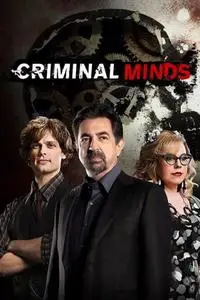 Criminal Minds S16E03