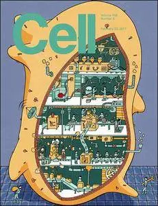 Cell - 23 February 2017