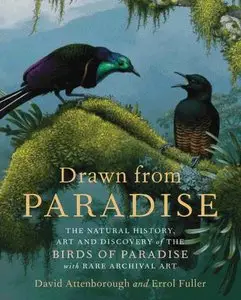 Drawn from Paradise: The Natural History, Art and Discovery of the Birds of Paradise with Rare Archival Art (repost)