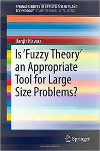 Is 'Fuzzy Theory' an Appropriate Tool for Large Size Problems? (Repost)