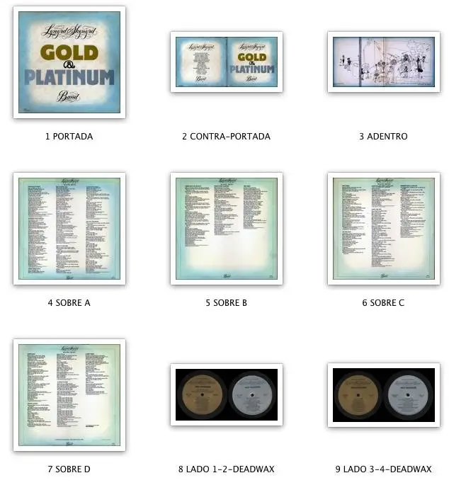 Lynyrd Skynyrd Band - Gold & Platinum (1979) Original US Pressing - 2 LP/FLAC In 24bit/96kHz