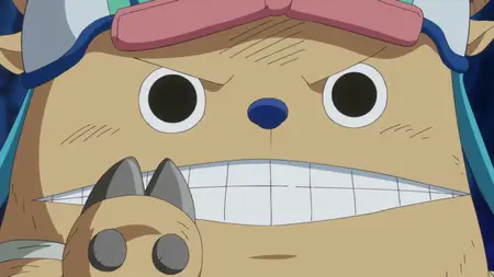 One Piece (1999 S19E03 The Devils Fist! A Show Down! Luffy vs Grount! ZR