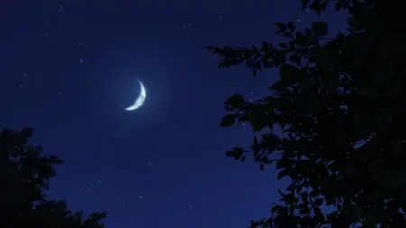 Kakkou no Iinazuke - 18