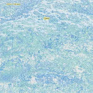 Emily A. Sprague - Cyano (2026) [Official Digital Download 24/96]