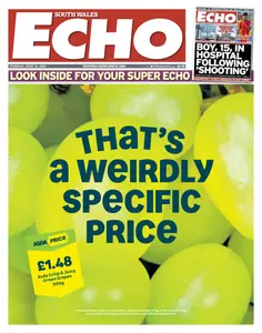 South Wales Echo - 10 June 2025