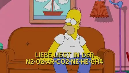 Die Simpsons S27E13