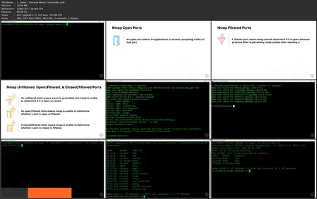 Security Analysis: Vulnerability Analysis and Assessment
